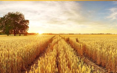 Commemorating the Holodomor’s 90th Anniversary